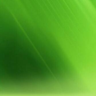 Simple Cool Green Wallpaper Art iPad HD