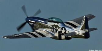 P51 Mustang Crazy Horse Wallpaper