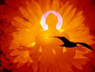Meditation Cool Background And Wallpaper For Your Desktop