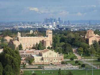 Ucla Campus Wallpaper Of Looking Out