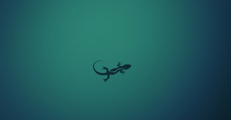 Minimalistic Gecko Wallpaper