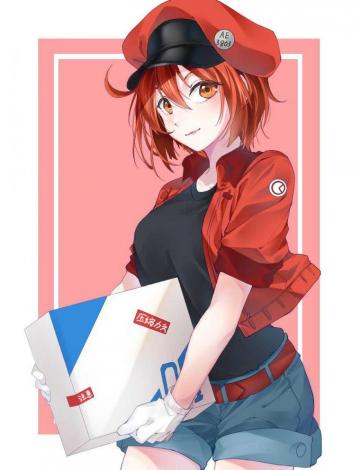 Red Blood Cell Wallpaper Awesome HD