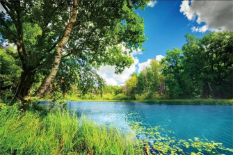 Amazon Csfoto Polyester Park Scenery Backdrop River
