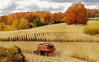 International Harvester HD Wallpaper Background