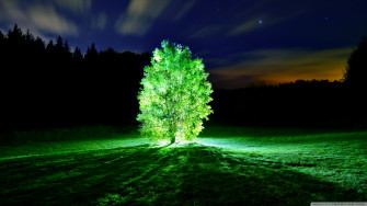 Glorious Glowing Green Tree Wallpaper
