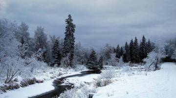 Creek Winter Snow Scenes Wallpaper Kde Store