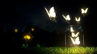 Fantasy Art Lights Grass Butterfly Glass Night Wallpaper