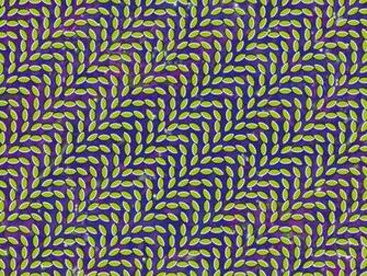 Wallpaper Optical Illusion Desktop Background