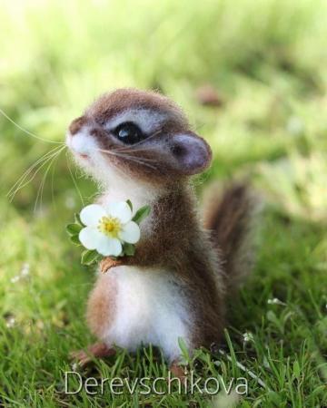 Deepak On Animais Mais Fofos Animals Beautiful Cute