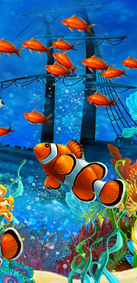 Beautiful Fish Wallpaper