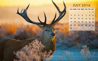 July Calendar Wallpaper