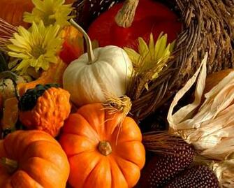 Calabazas Y Flores De Oto O Wallpaper