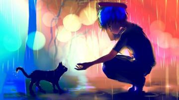 Cat Boy Anime Wallpaper Top Background