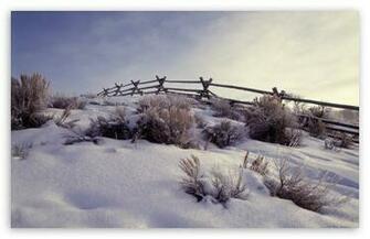 Winter Scenes HD Wallpaper For Standard Fullscreen Uxga Xga