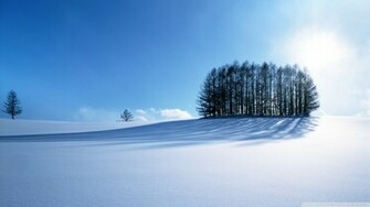 Winter Scenery Japan Wallpaper