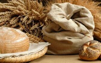 Fresh Bread Wallpaper And Image Pictures Photos