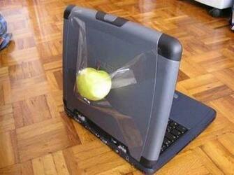 Funny Wallpaper Apple
