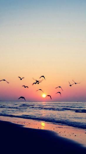 Nature Landscape iPhone Wallpaper Sunset Beach