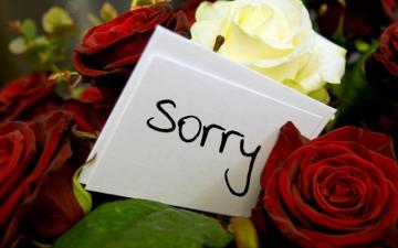 Cute Apology Messages To A Lover With Sorry Image Ilove