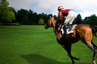 Wallpaper Background Horse