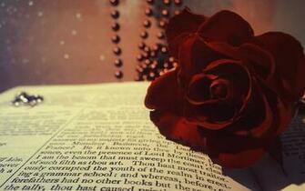 Book Rose Red Burgundy Flower Beads Macro Bokeh Wallpaper Background