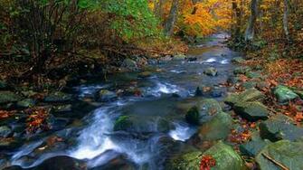 Blue National Park Shenandoah Wallpaper