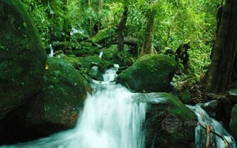 Kerala Photos Pictures Wallpaper