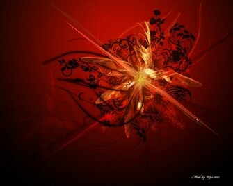 Floral Explosion Wallpaper