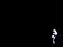 Nick Cave Look Wallpaper