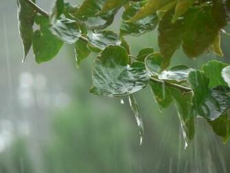Rain Falling HD Wallpaper Pictures Image Background