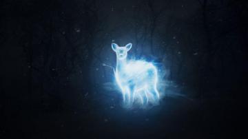 Patronus Harry Potter Desktop Wallpaper On