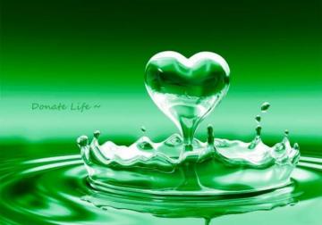Donate Life My Angel Did Heart Wallpaper Love Quotes