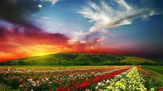 New 3d Wallpaper Nature Desktop
