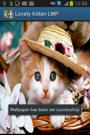 Talking Tom Cat Live Wallpaper For Android Appszoom