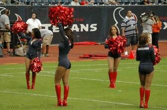 Oakland Raiders Cheerleader Dog Dresses Pictures