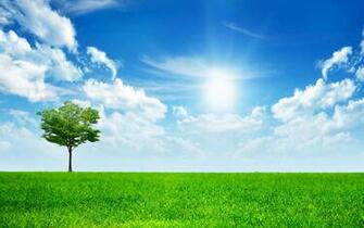 Tag Green Nature Wallpaper Background Photos Image And Pictures