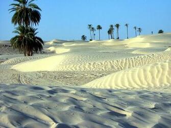 Peace Of Mind Beautiful Nature Wallpaper Desert