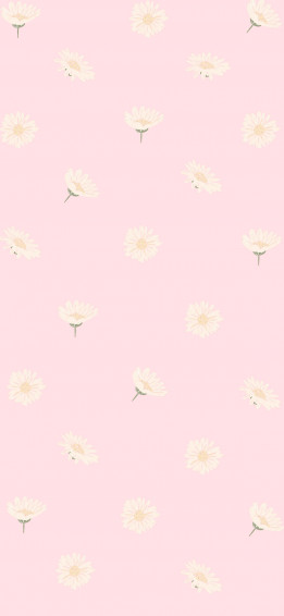 Pink Aesthetic Picture Wallpaper