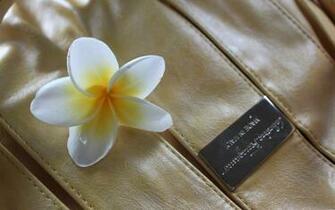 Mac Flower Wallpaper Weddingdressin