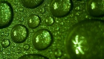 Raindrops On Green Background HD Wallpaper 1080p Desktop