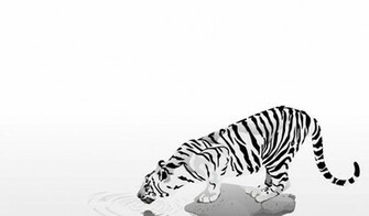 White Tiger Cubs Wallpaper HD