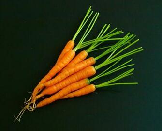Carrot Wallpaper High Quality