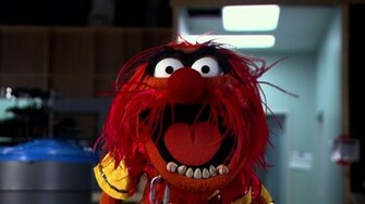 Muppets Most Wanted Animal 3b HD Wallpaper