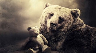 Black Bear Wallpaper
