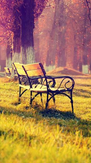 Wallpaper iPhone 5s Fall Background