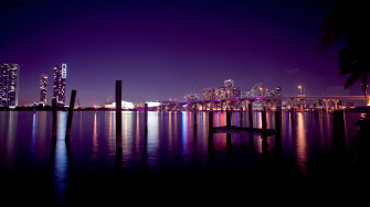 Miami Skyline Nights Wallpaper