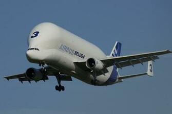 Beluga Aircraft HD Wallpaper Widescreen Source