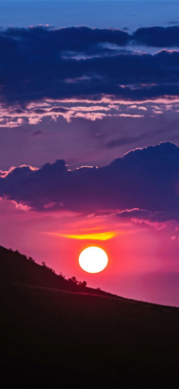 Sunset Close Shoot Nature 4k