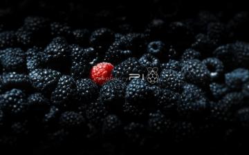 Here Is A Sexy Raspberry Pi Themed Wall Paper To Replace Your