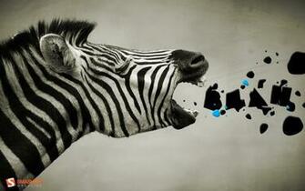 Zebra Wallpaper For Computer Desktop